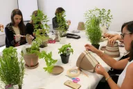 Résultat final d’un mini jardin réalisé en entreprise lors de l’atelier MadCityZen. | © MadCityZen